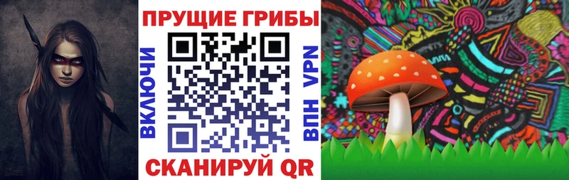 Псилоцибиновые грибы мицелий Саранск